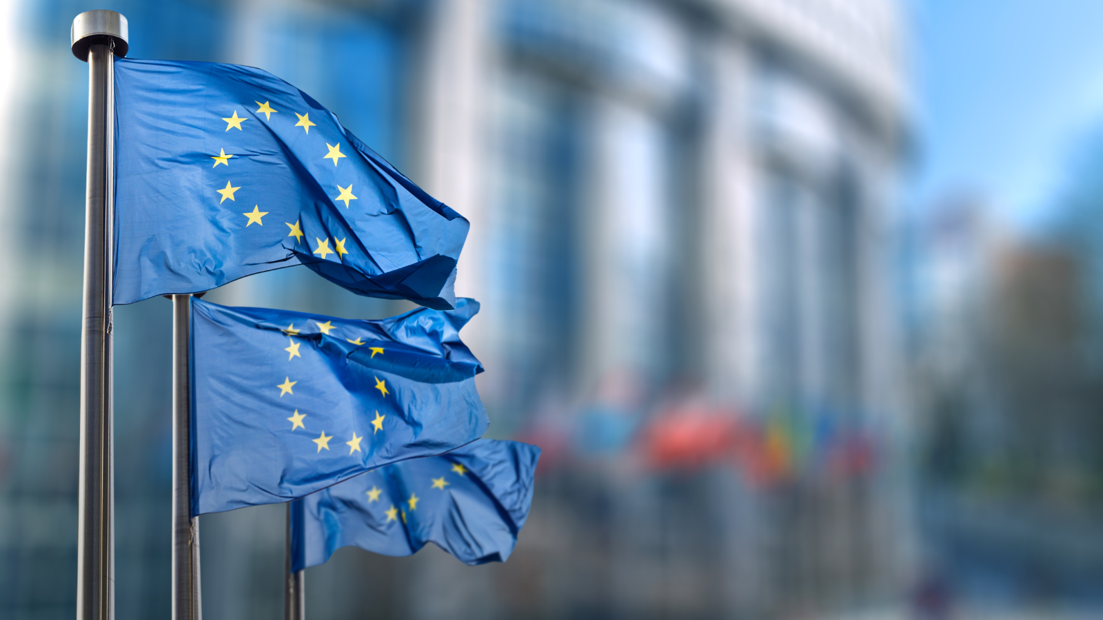 European Union flags